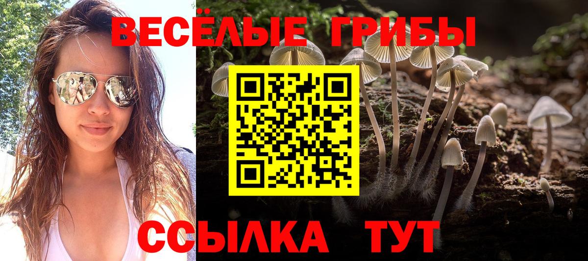 Галлюциногенные грибы MAGIC MUSHROOMS  Галлюциногенные грибы мицелий  Глазов  Вход с VPN 